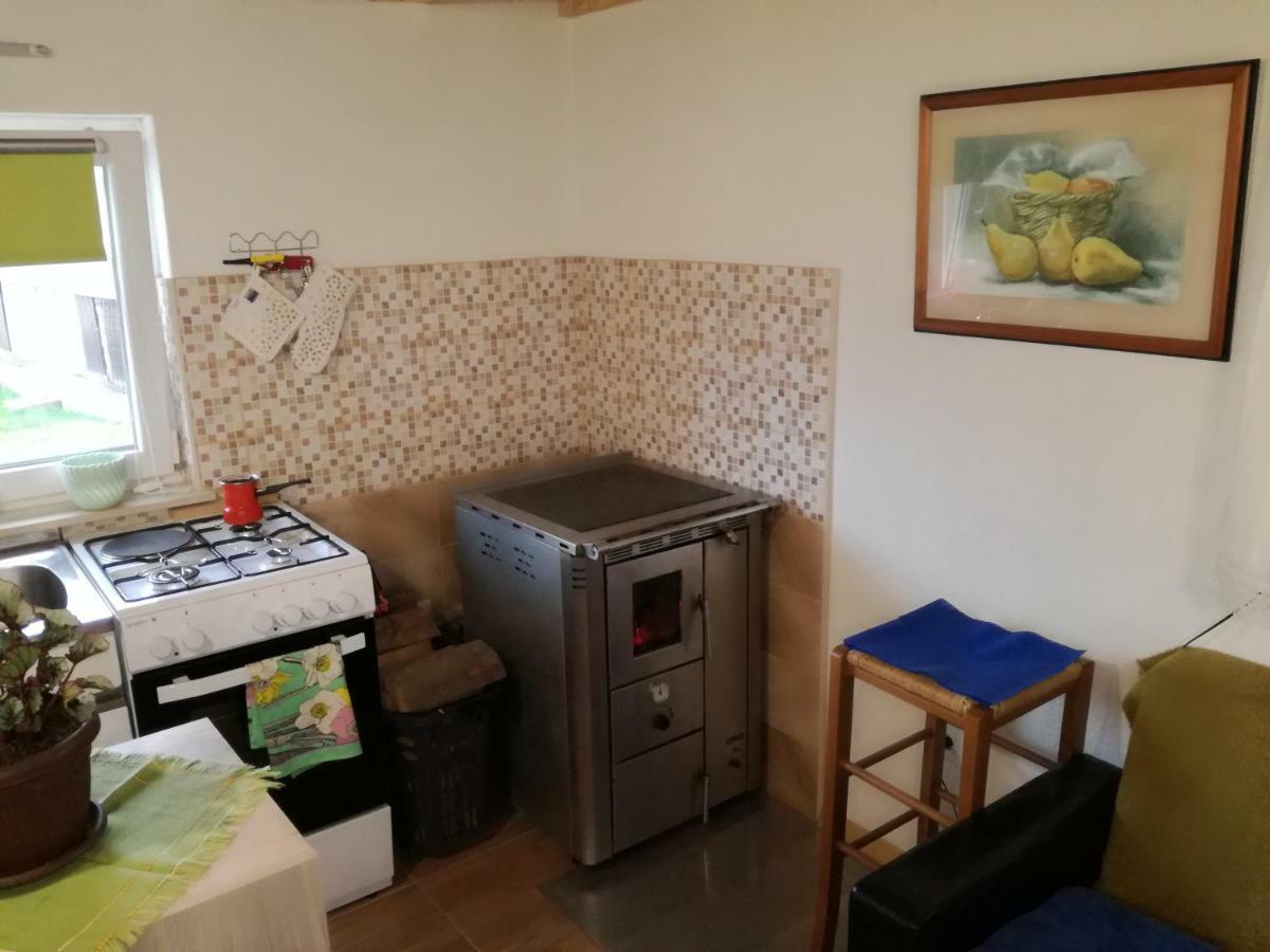 Kuca Za Odmor "Jasna" Apartment Crni Lug Exterior photo