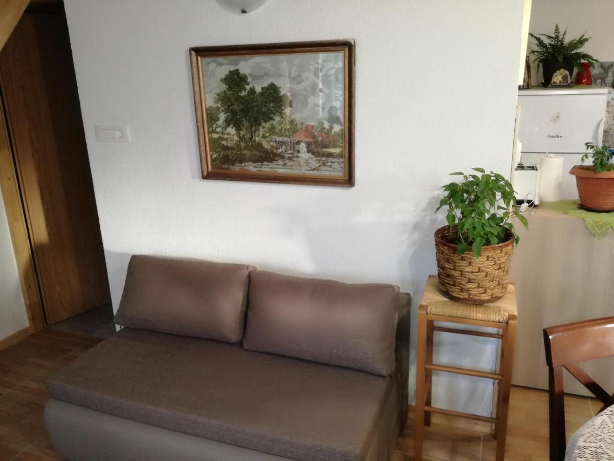 Kuca Za Odmor "Jasna" Apartment Crni Lug Exterior photo